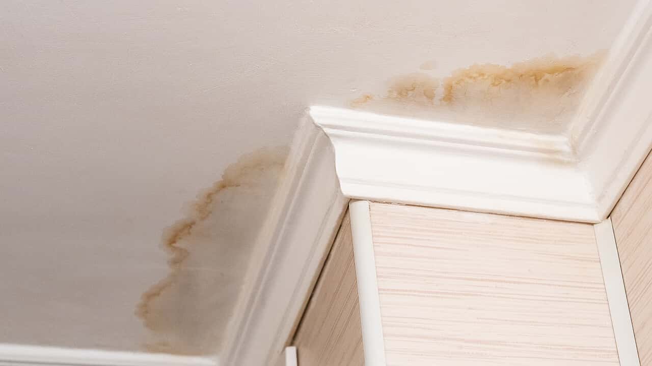 Roof leak and storm damage on a residential roof